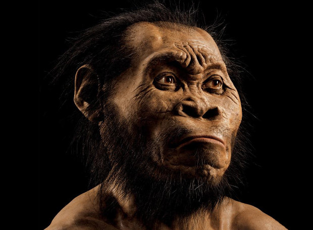 H αναπαράσταση του Homo naledi παρουσιάζεται στο τεύχος Οκτωβρίου του National Geographic