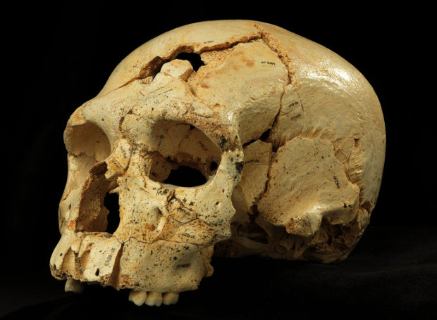 Το κρανίο του ανθρώπου που δολοφονήθηκε πριν από 430 χιλιάδες έτη