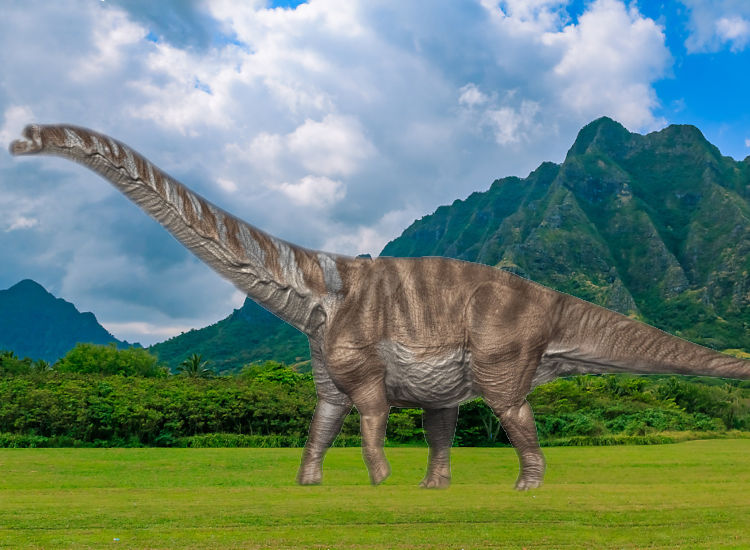 Βρέθηκε ο μεγαλύτερος δεινόσαυρος που έζησε στην Ευρώπη - Ειδήσεις - Σαν  Σήμερα .gr
