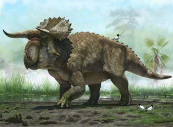 Ψηφιακή απεικόνιση του Nasatoceratops
